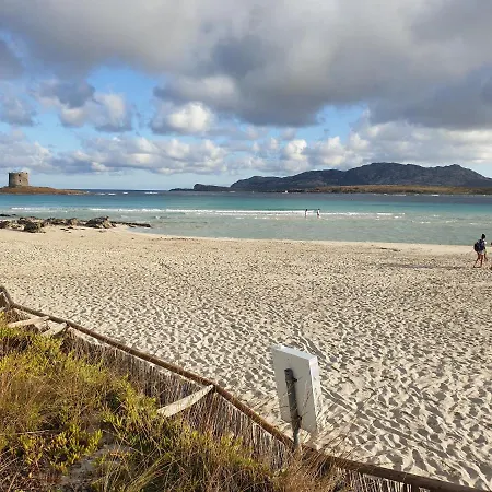 Charming Small Bella No2019 *