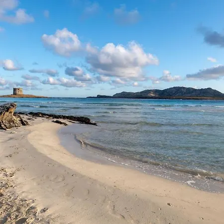 Charming Small Bella No2019 Lejlighed Punta de su Torrione