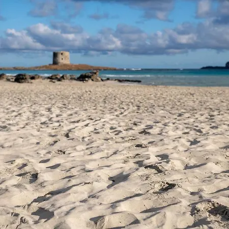 Charming Small Bella No2019 Lejlighed