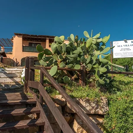 Charming Small Bella No2019 *