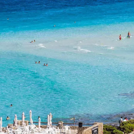 Charming Small Bella No2019