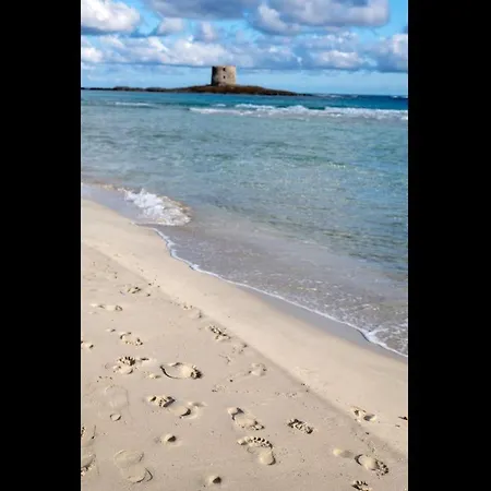 Charming Small Bella No2019 Punta de su Torrione