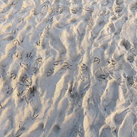 Charming Small Bella No2019 Lejlighed Punta de su Torrione