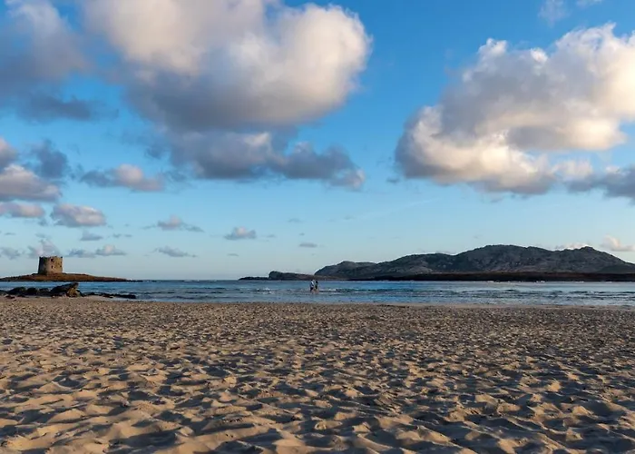 公寓 Charming Small Bella No2019 Punta de su Torrione