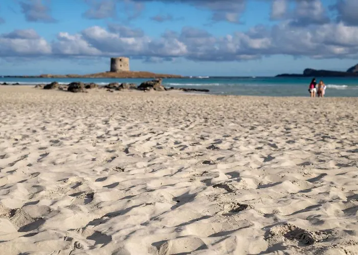 Charming Small Bella No2019 公寓