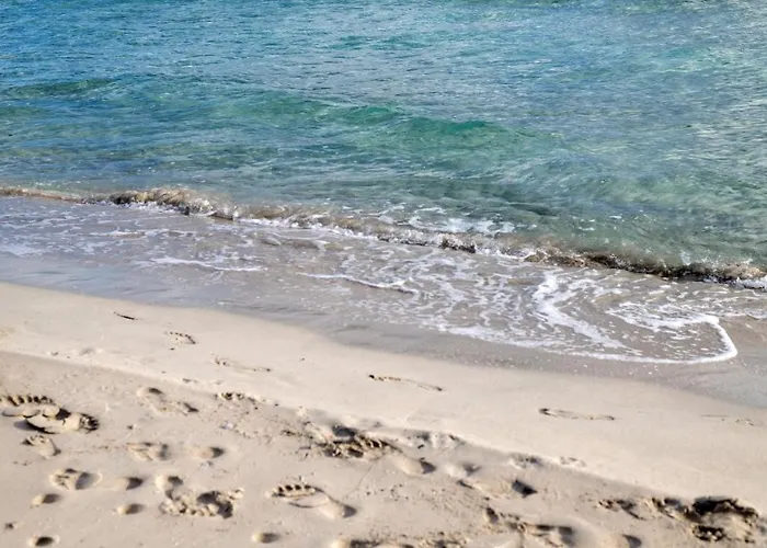 Charming Small Bella No2019