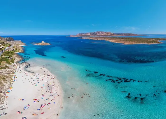 Charming Small Bella No2019 公寓