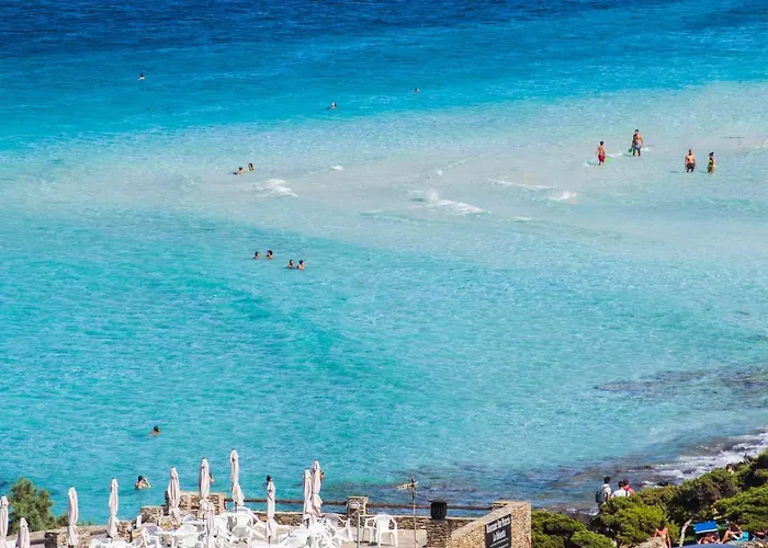 Charming Small Bella No2019