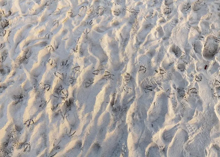 Charming Small Bella No2019 公寓 Punta de su Torrione